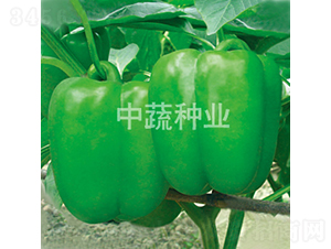 �н�108-������-������ҵ