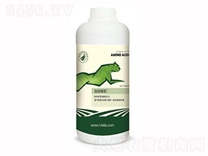 ����ڵ��״ٽ���-����ů��-������