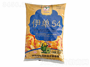 ����54��������-���ũҵ