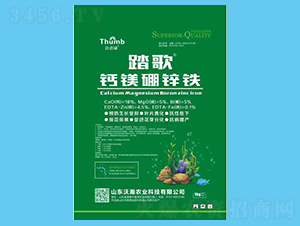 ̤�衤��þ��п��-������-���ũҵ