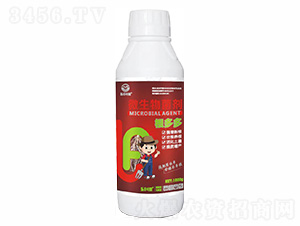 �����΢�������-�ַ�Ҷ��-���ַ�