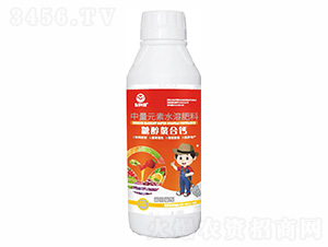 �Ǵ����ϸ�-�ַ�Ҷ��-���ַ�
