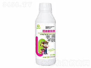 ��þ����п-�ַ�Ҷ��-���ַ�
