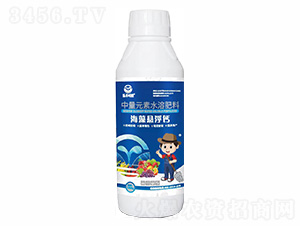 ����������-�ַ�Ҷ��-���ַ�