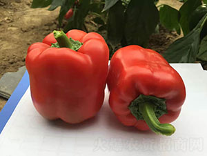 ���ޣ�2191���ʽ�����-����ũҵ