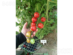 �й���ӣ�ҷ�������-����ũҵ
