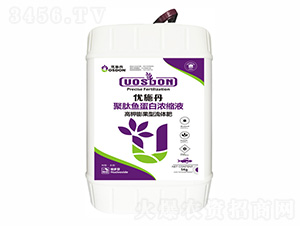 5kg�߼��;����㵰��Ũ��Һ-��ʩ��