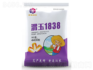 μ��1838-��������-�Ǻ���ũ