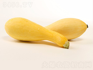 ����1218-����«����-��������