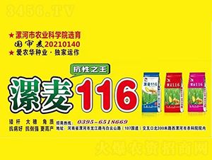 ����116-С������-��ũ����ҵ