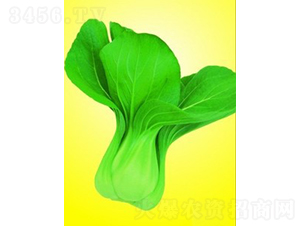 ����ݪ�๣��-�๣������-����