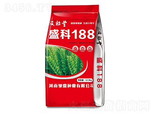 ʢ��188-С������-�۶���ҵ
