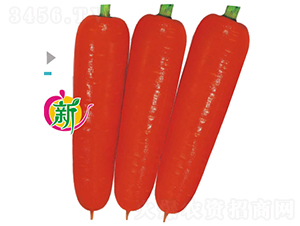 ����F1����29-2���ܲ�-���ܲ�����-����