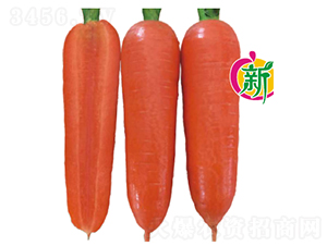 ����103F1���ܲ�-���ܲ�����-����