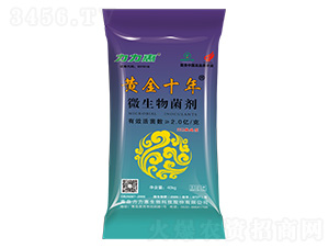 552��ʩ��΢�������-�ƽ�ʮ��-����������