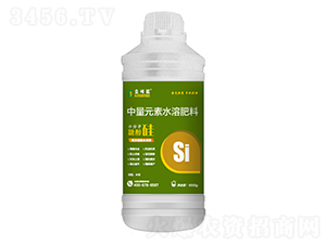 1000g�Ǵ���-���ŵ