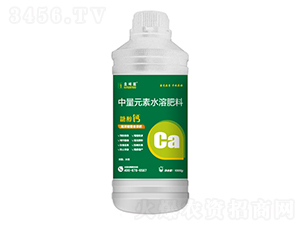 1000g�Ǵ���-���ŵ