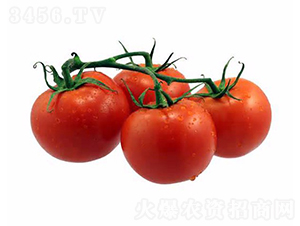 CNUS1703-����������������-��������