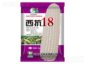 ��������-����18-������ҵ