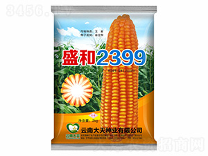 ��������-ʢ��2399-������ҵ