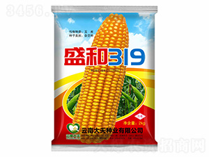 ��������-ʢ��319-������ҵ