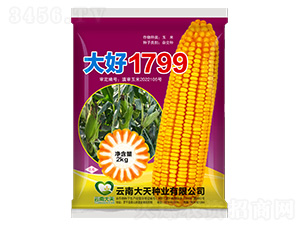 ��������-���1799-������ҵ