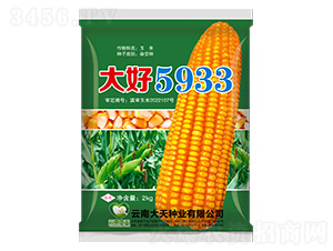 ��������-���5933-������ҵ