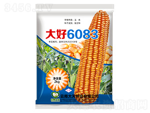 ��������-���6083-������ҵ
