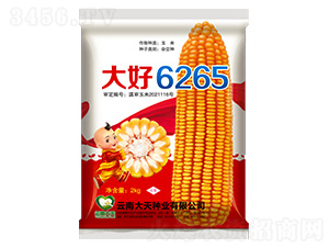 ��������-���6265-������ҵ