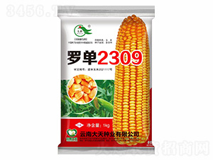 ��������-�޵�2309-������ҵ