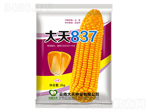 ��������-����837-������ҵ