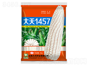 ��������-����1457-������ҵ