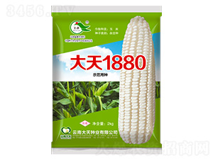 ��������-����1880-������ҵ