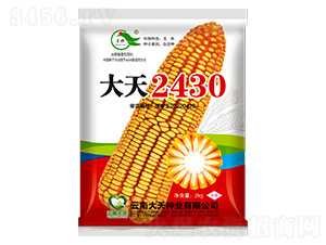 ��������-����2430-������ҵ