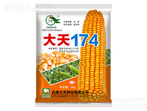 ��������-����174-������ҵ