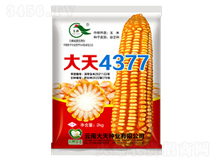 ��������-����4377-������ҵ