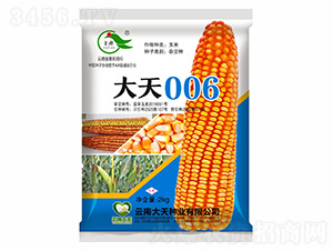 ��������-����006-������ҵ