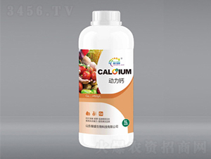1L������-��ʢ����
