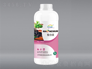 1L����þ-��ʢ����