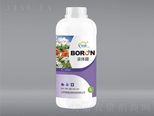 1L������-��ʢ����