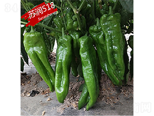 ����518-��������-������ҵ