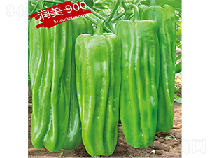 ����900-��������-������ҵ