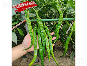 ��Ƥ���߽�-��������-������ҵ