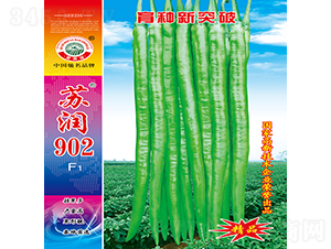 ����902-��������-������ҵ