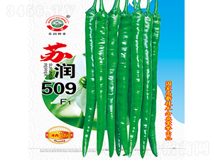 ����509-��������-������ҵ