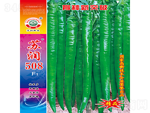 ����508-��������-������ҵ
