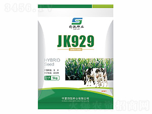 JK929-������ҵ