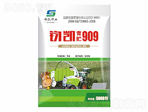 ��������909-������ҵ
