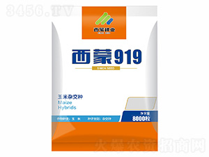 ����919-������ҵ