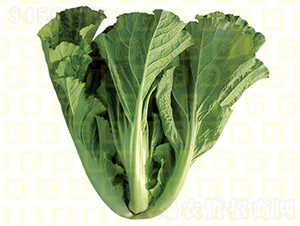 �¸�MS146-10-�������-�¸���ҵ